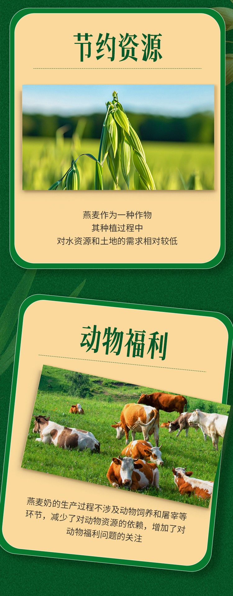 非常麦有机燕麦奶 - 第11张