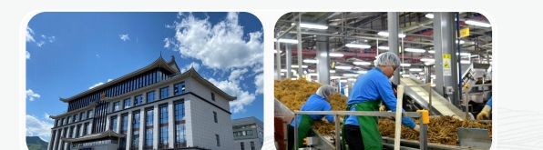 0004.png