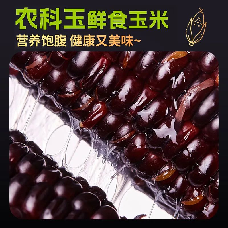 东北黑糯玉米 - 第1张