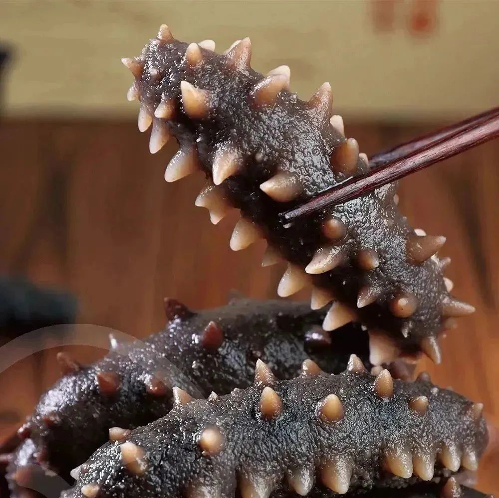 底播野生即食海参 - 第1张 底播野生即食海参 - 第1张