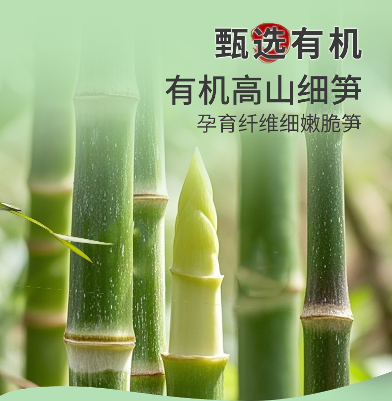 有机高山笋(野植珍) - 第1张 有机高山笋(野植珍) - 第1张