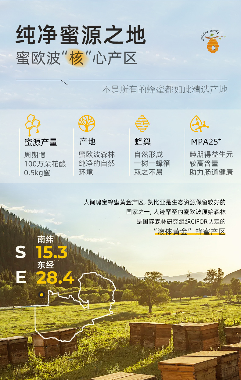 开普山谷部落神树黄晶蜜MPA25+ - 第7张 开普山谷部落神树黄晶蜜MPA25+ - 第7张