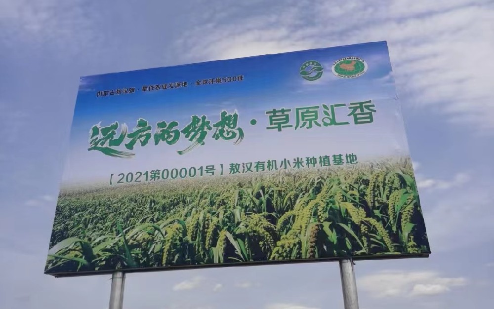 内蒙古赤峰的敖汉旗有机小米 - 第1张