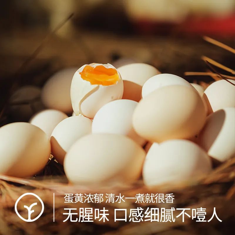 泰和乌鸡蛋 - 第1张 泰和乌鸡蛋 - 第1张