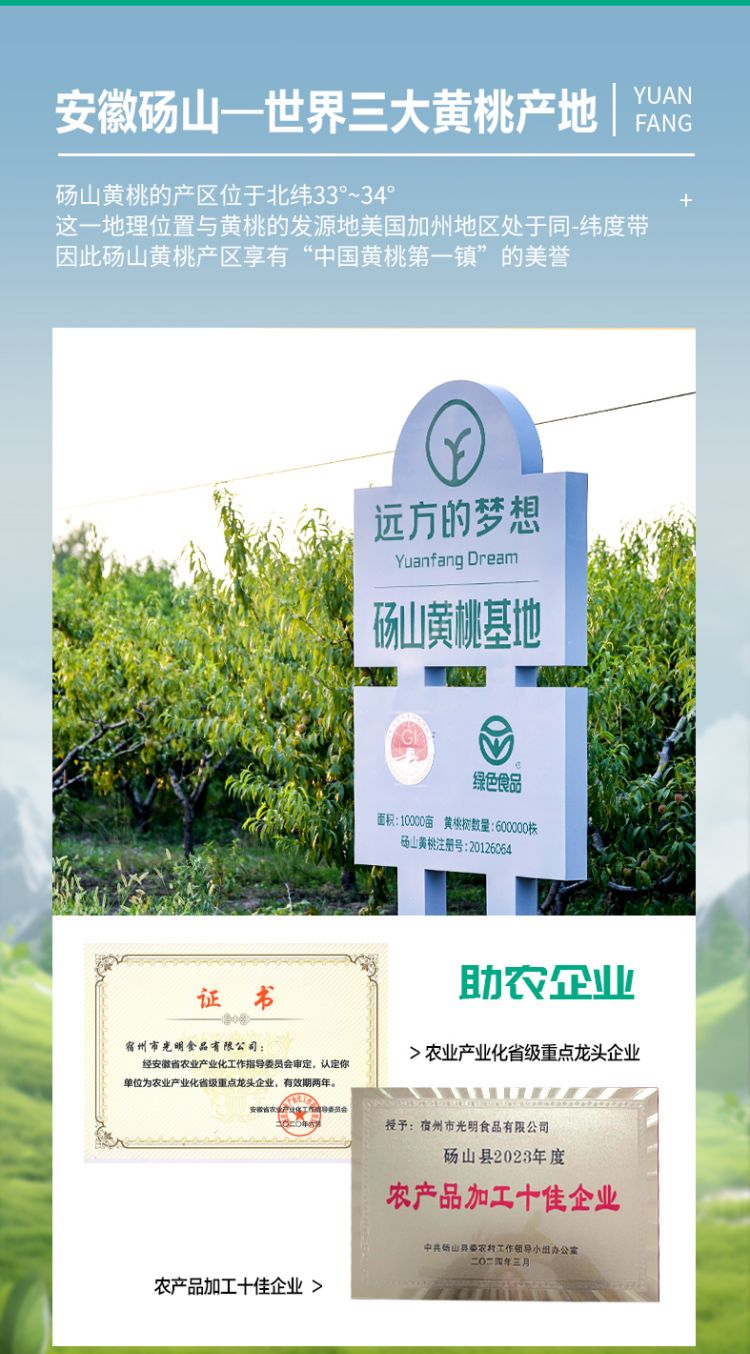 黄桃罐头 - 第4张 黄桃罐头 - 第4张