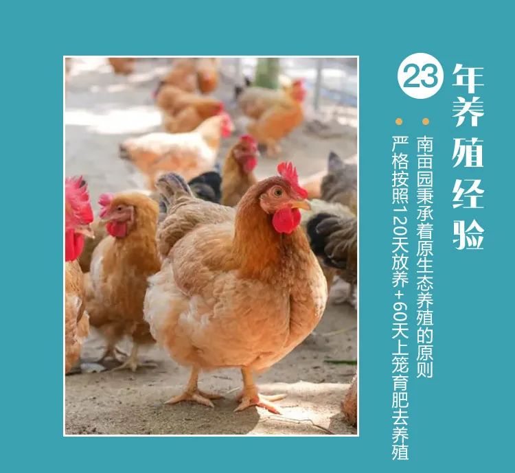 海南椰子鸡套装 - 第1张