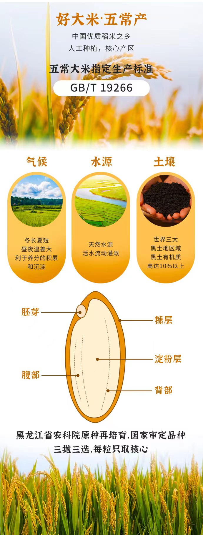1722128031513627.png 0003.png