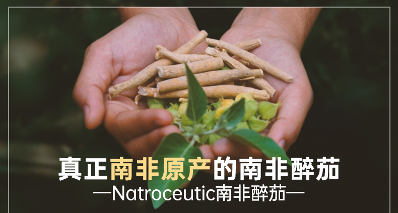 Natroceutics南非醉茄活性胶囊 - 第5张 Natroceutics南非醉茄活性胶囊 - 第5张