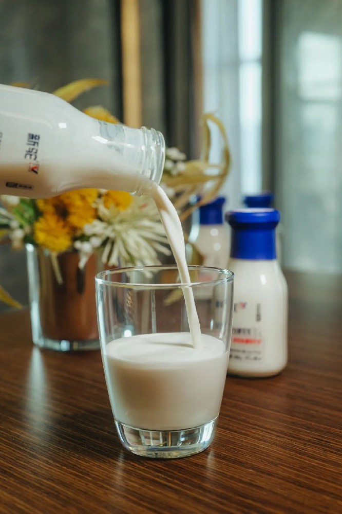 新驼风味发酵驼乳 - 第1张 新驼风味发酵驼乳 - 第1张