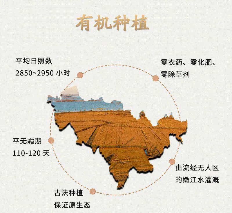 1718546170211075.jpg 0003.jpg