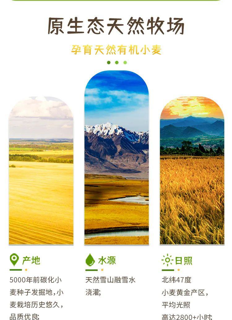 有机原味小面条 - 第8张 有机原味小面条 - 第8张