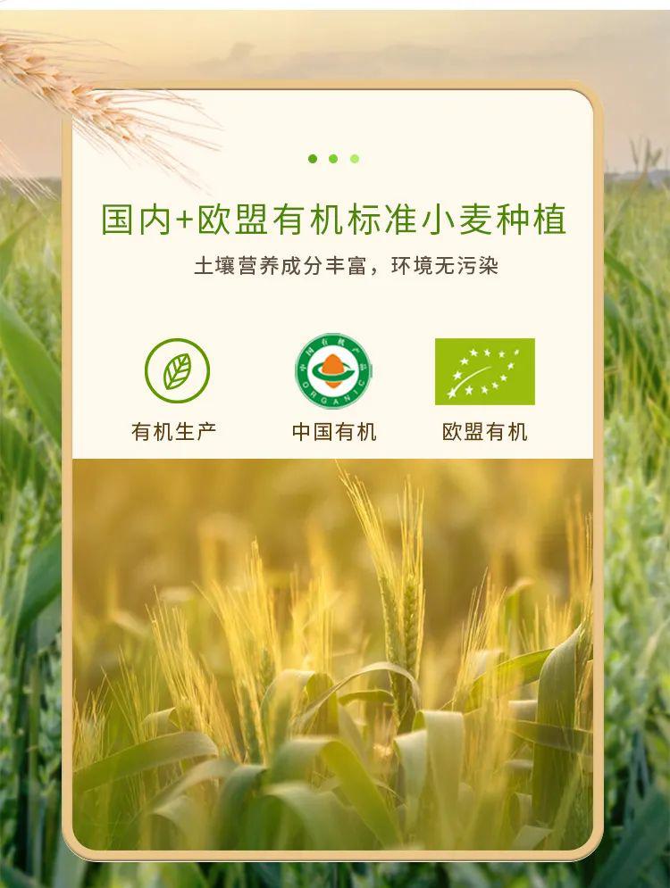 有机原味小面条 - 第9张 有机原味小面条 - 第9张