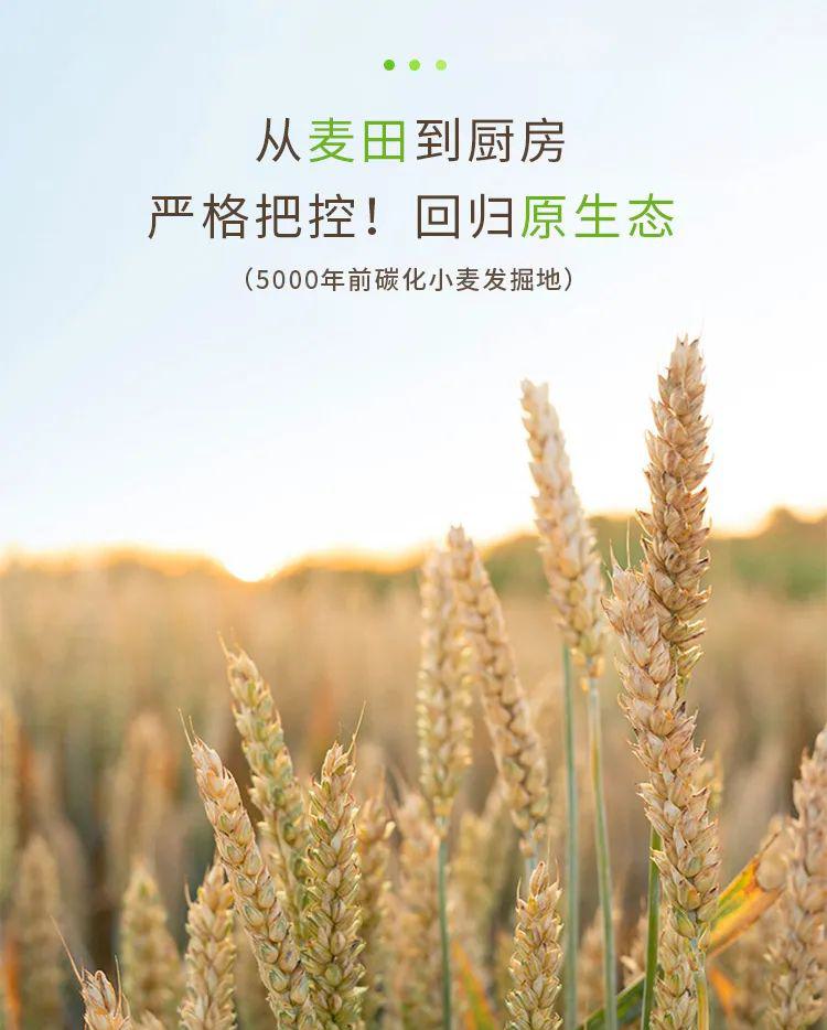 有机原味小面条 - 第17张 有机原味小面条 - 第17张