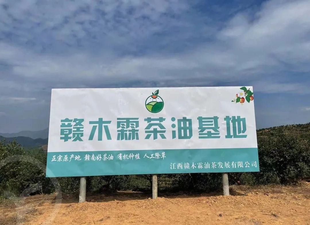 赣南养生山茶油 - 第4张 赣南养生山茶油 - 第4张