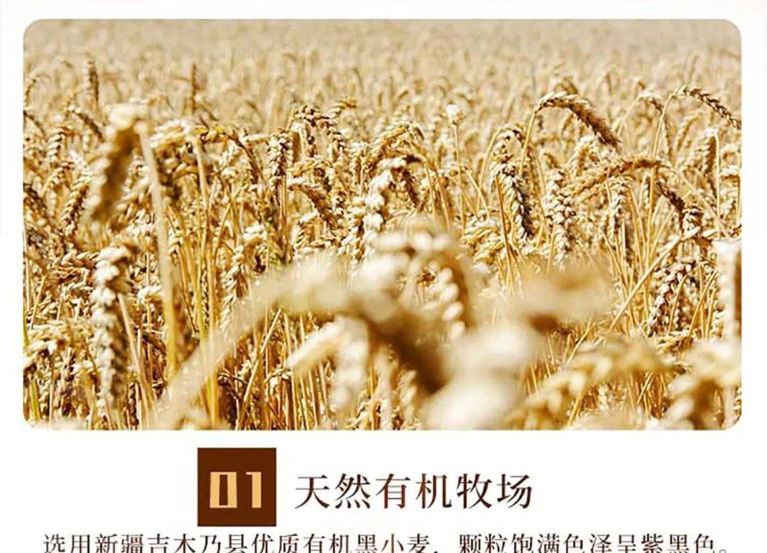 有机黑小麦全麦粉 - 第7张 有机黑小麦全麦粉 - 第7张