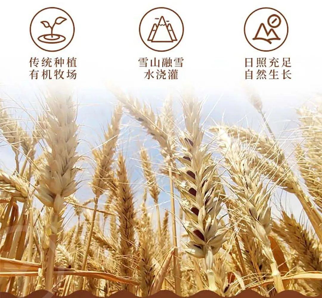 有机黑小麦全麦粉 - 第13张 有机黑小麦全麦粉 - 第13张