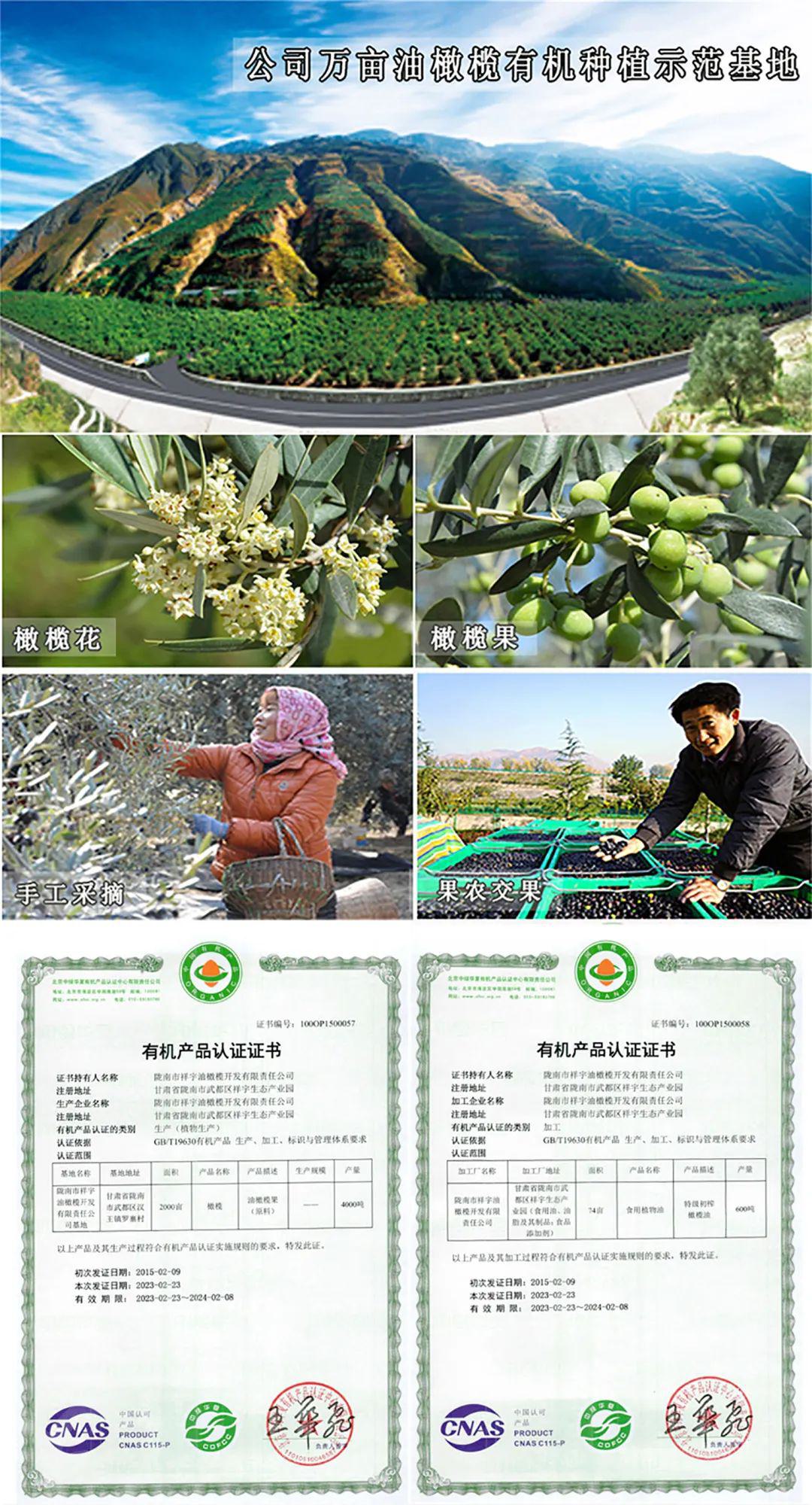 有机特级初榨橄榄油 - 第34张 有机特级初榨橄榄油 - 第34张