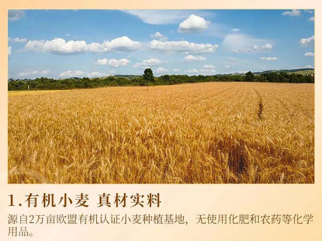 有机全麦粉 - 第6张