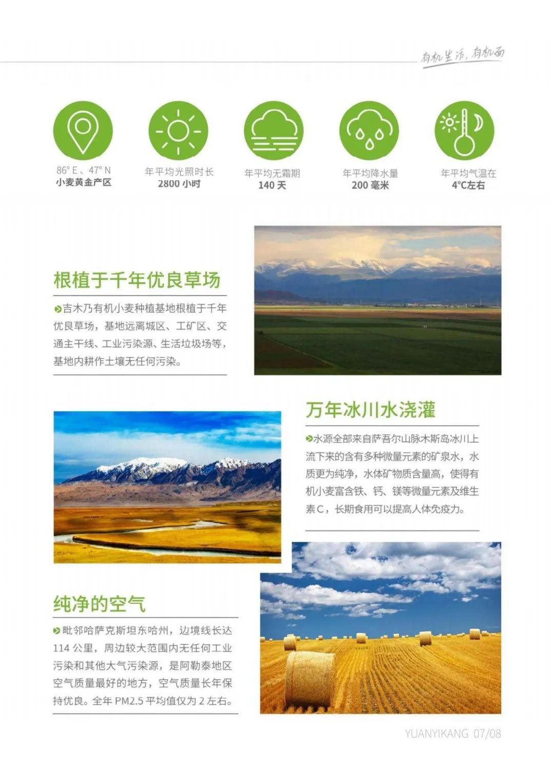 有机全麦粉 - 第19张