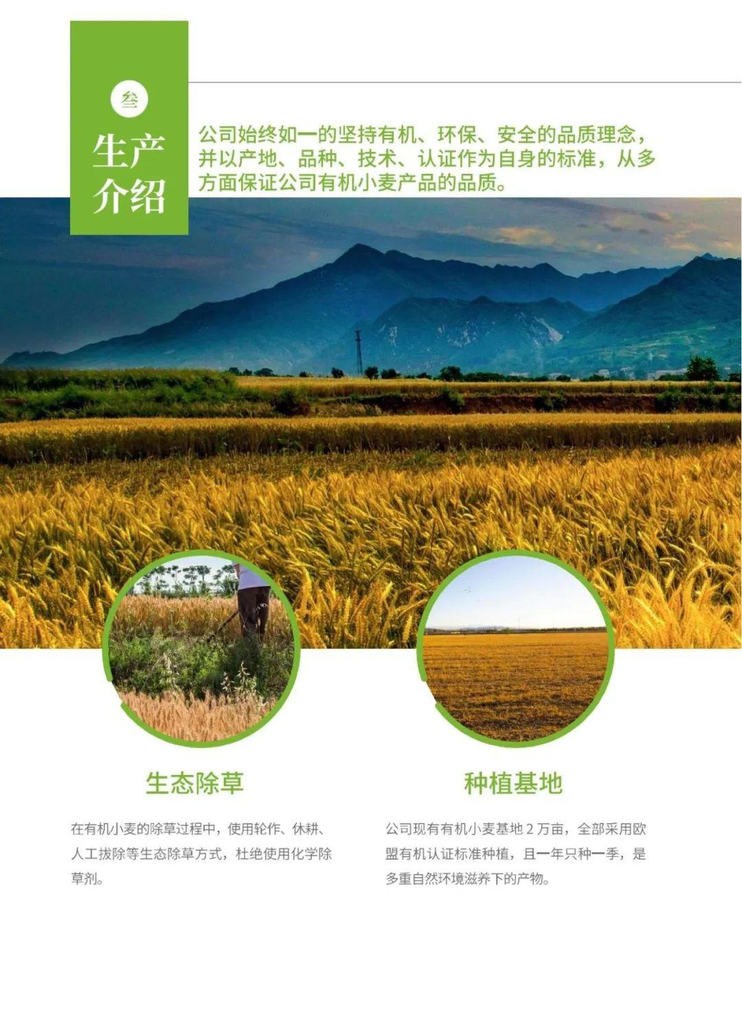 有机全麦粉 - 第20张