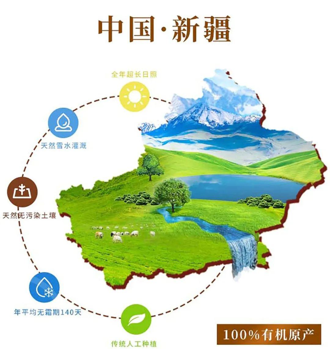 有机全麦粉 - 第23张
