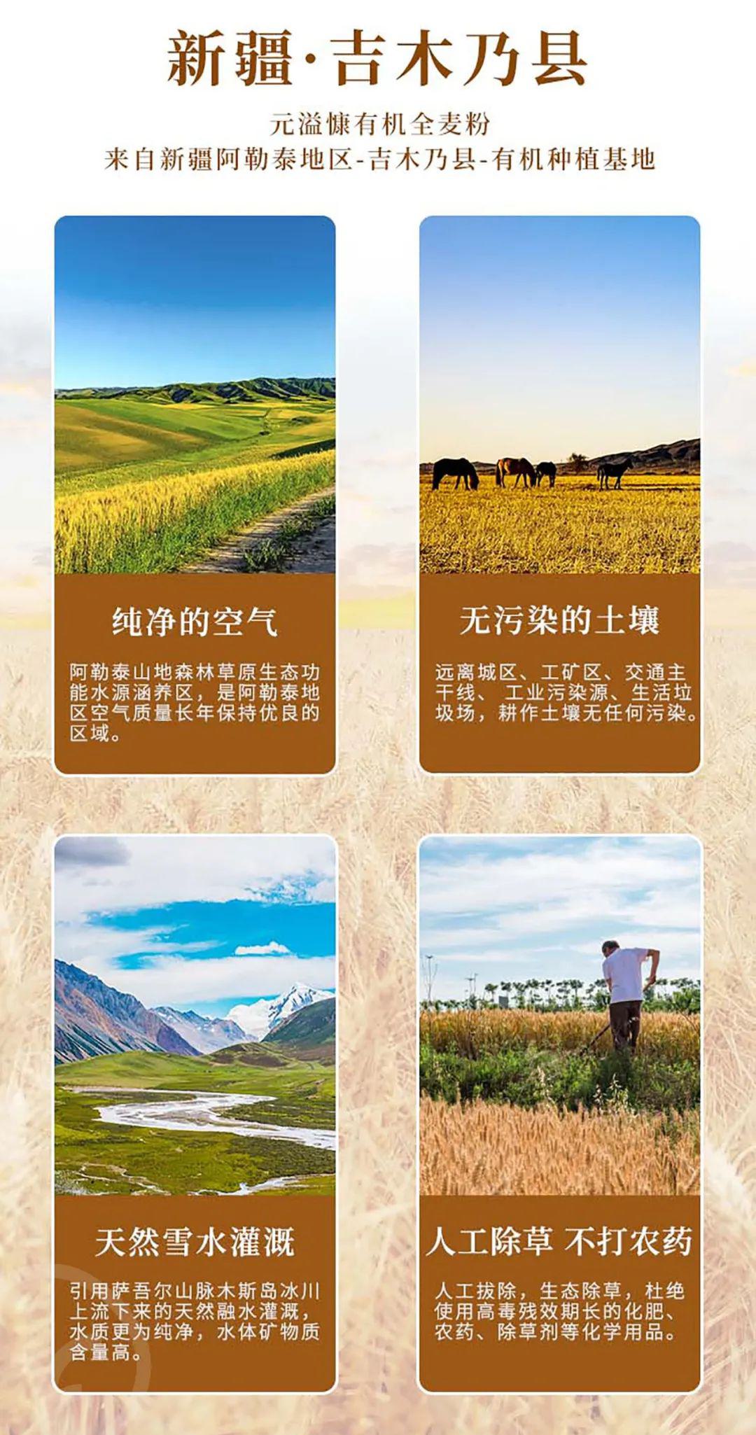 有机全麦粉 - 第24张