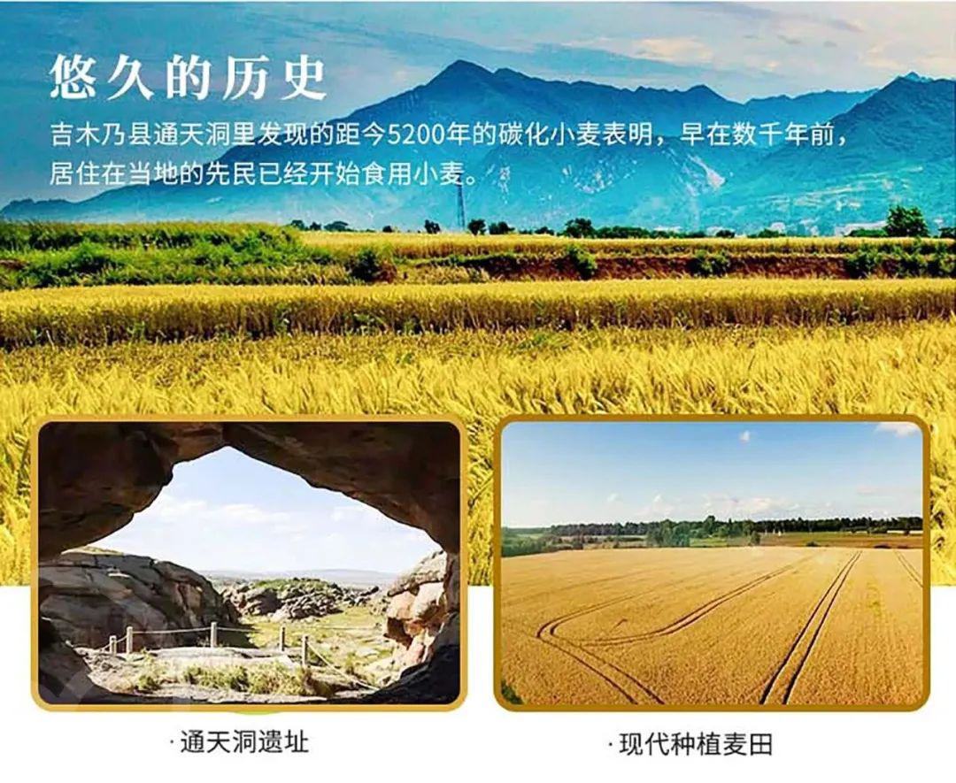 有机全麦粉 - 第30张