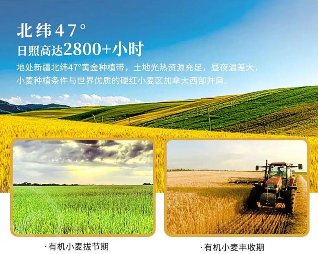 有机全麦粉 - 第31张