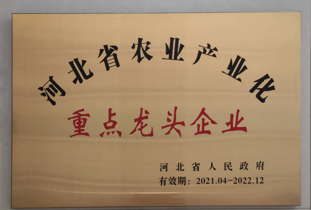 有机玉米糁 - 第16张 有机玉米糁 - 第16张