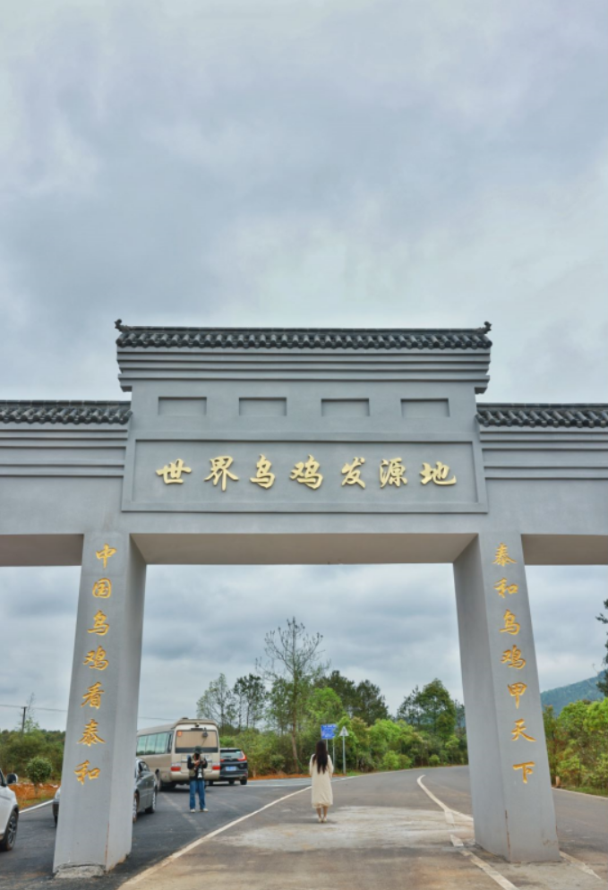 泰和原种乌鸡 - 第9张 泰和原种乌鸡 - 第9张
