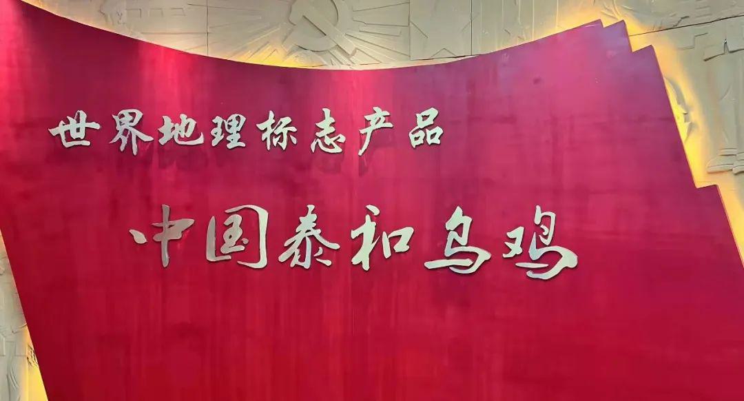 泰和原种乌鸡 - 第15张 泰和原种乌鸡 - 第15张