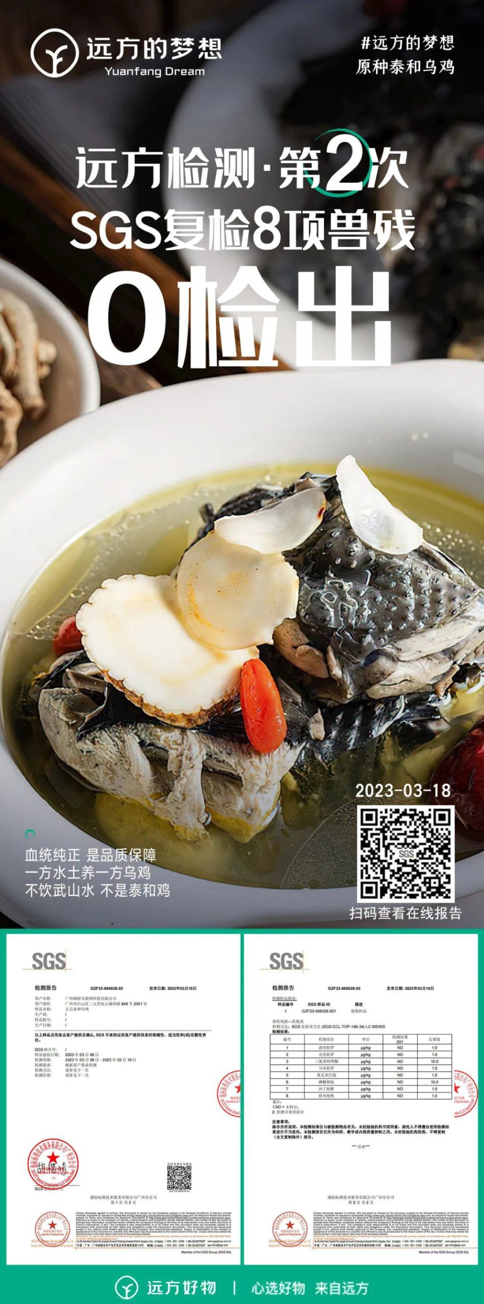 泰和原种乌鸡 - 第19张 泰和原种乌鸡 - 第19张