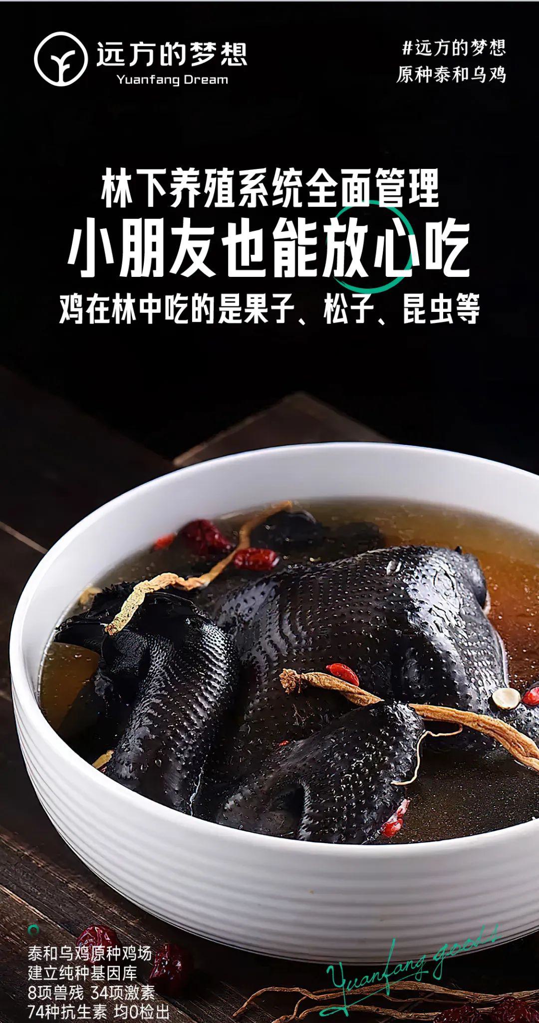 泰和原种乌鸡 - 第21张 泰和原种乌鸡 - 第21张