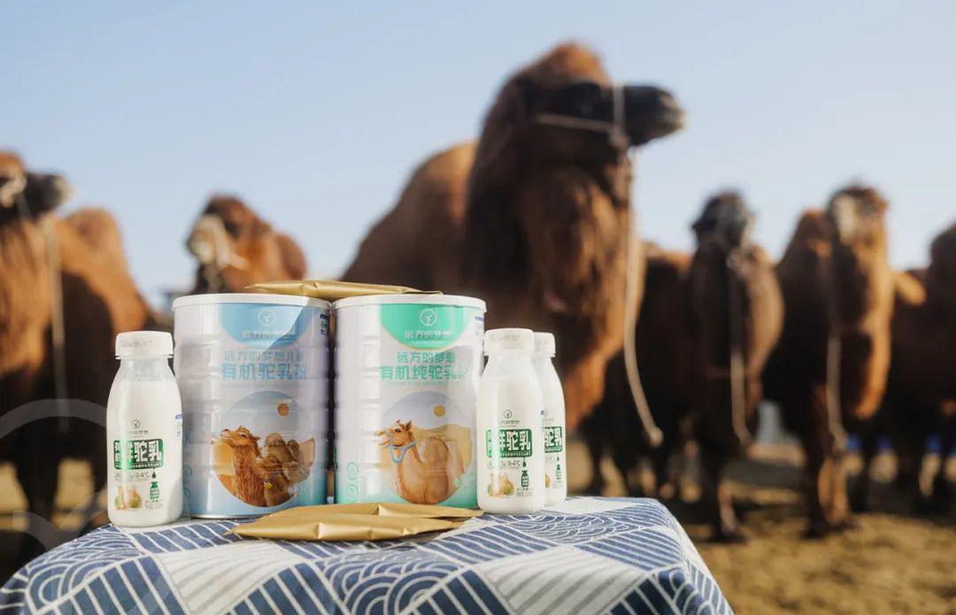 远方的梦想有机纯驼乳粉 - 第5张 远方的梦想有机纯驼乳粉 - 第5张