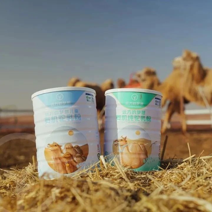 远方的梦想有机纯驼乳粉 - 第1张 远方的梦想有机纯驼乳粉 - 第1张