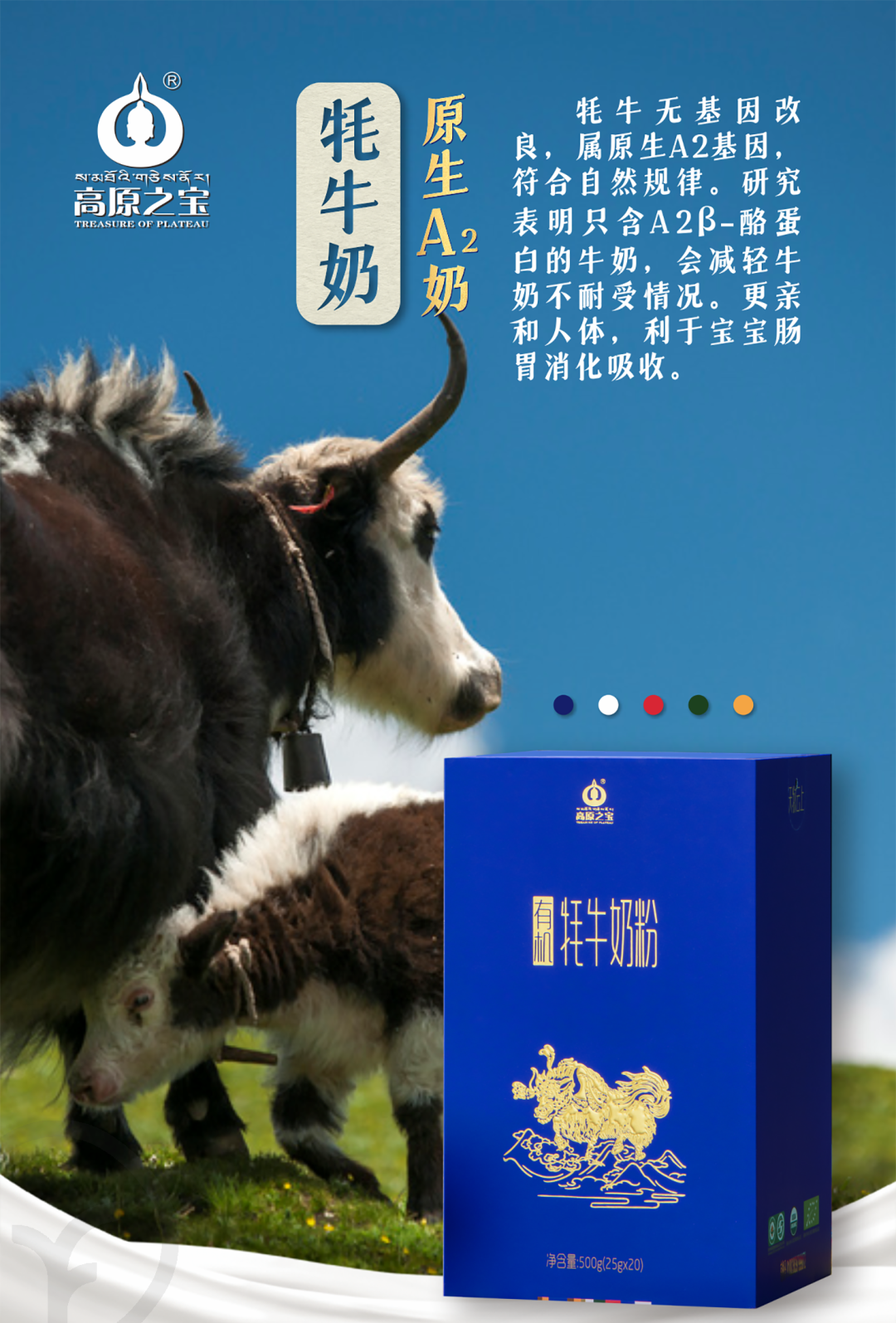 有机牦牛奶粉 - 第9张 有机牦牛奶粉 - 第9张