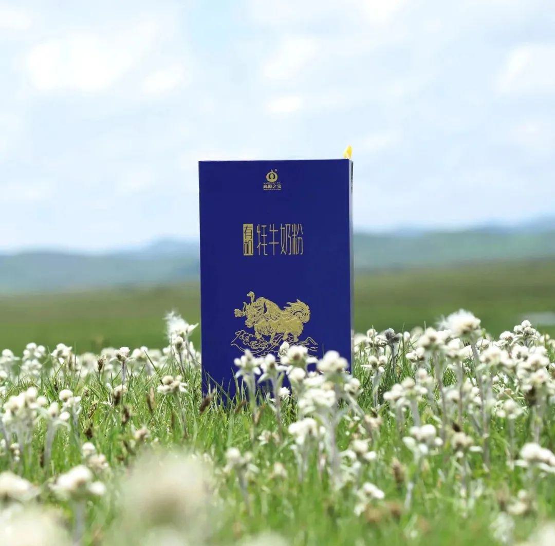 有机牦牛奶粉 - 第12张 有机牦牛奶粉 - 第12张