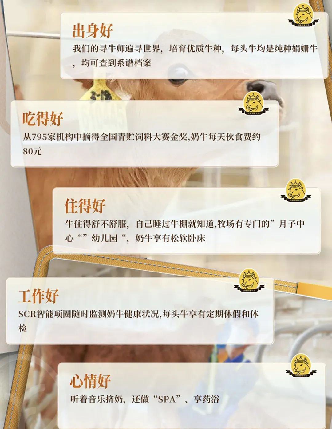 远方的梦想冷藏娟姗牛乳 - 第16张 远方的梦想冷藏娟姗牛乳 - 第16张