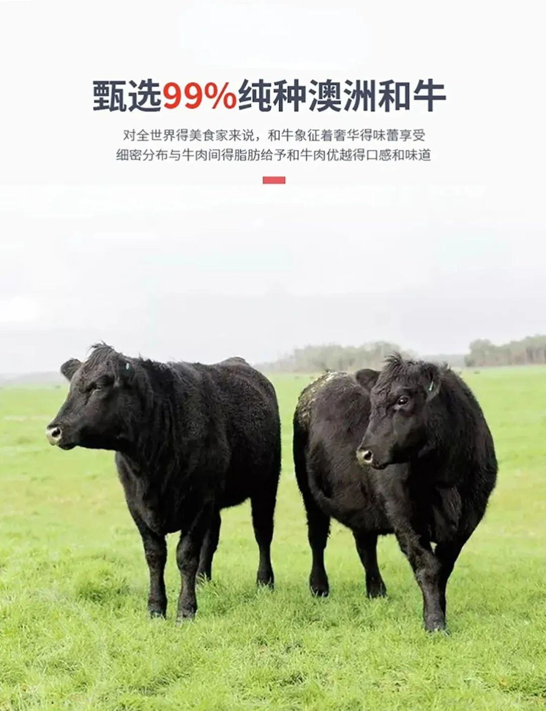 澳洲和牛M5板腱牛排 - 第15张 澳洲和牛M5板腱牛排 - 第15张