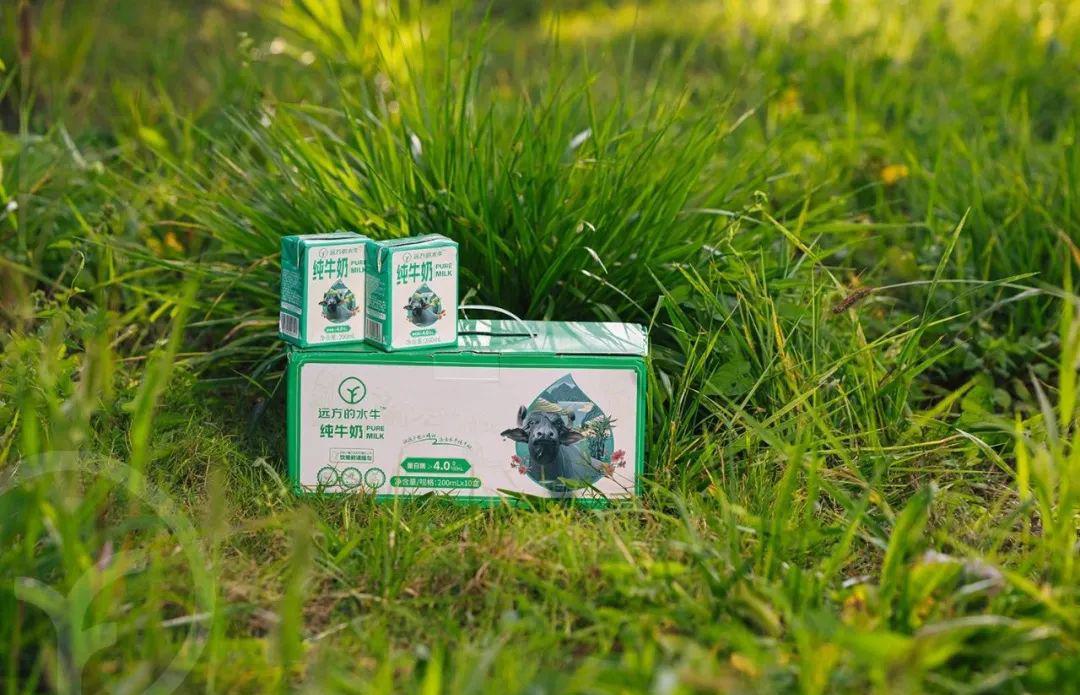 远方的水牛纯牛奶 - 第14张 远方的水牛纯牛奶 - 第14张