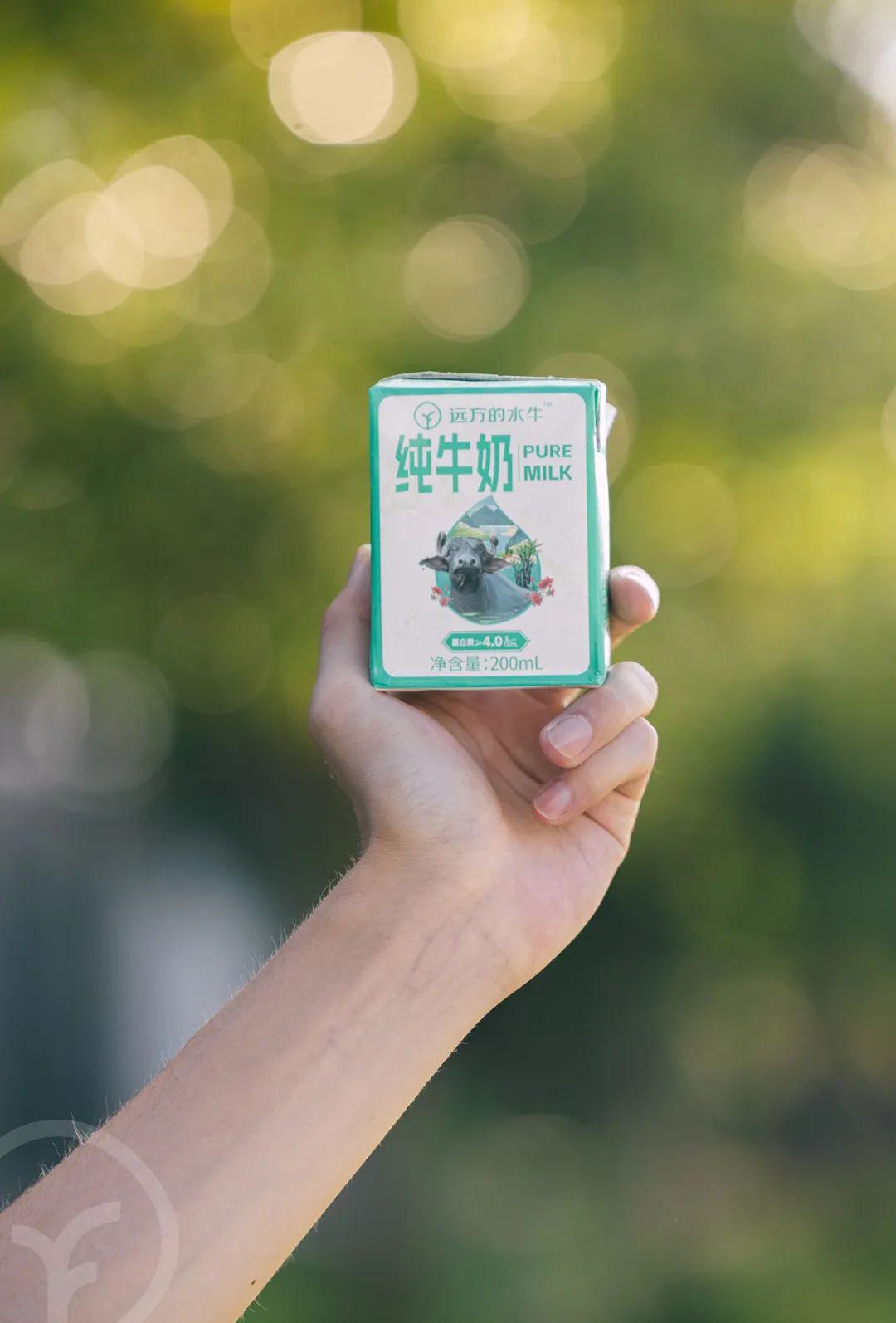 远方的水牛纯牛奶 - 第15张 远方的水牛纯牛奶 - 第15张