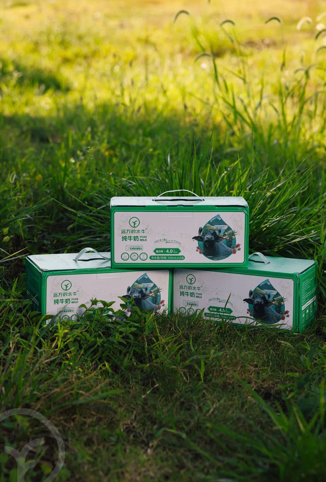 远方的水牛纯牛奶 - 第17张 远方的水牛纯牛奶 - 第17张