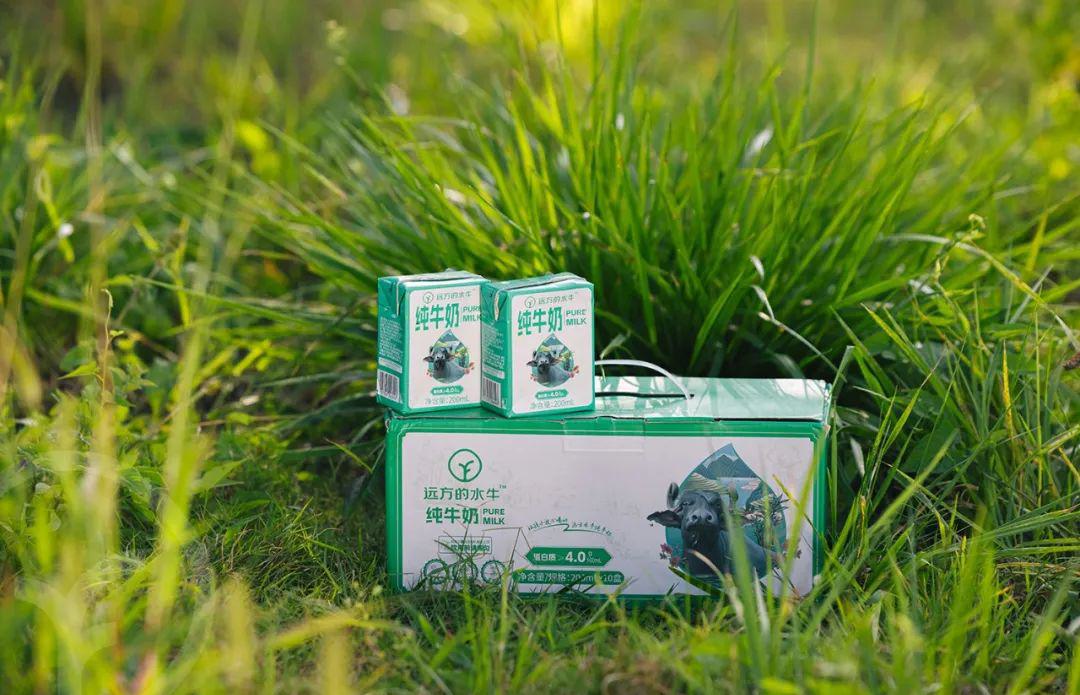 远方的水牛纯牛奶 - 第18张 远方的水牛纯牛奶 - 第18张