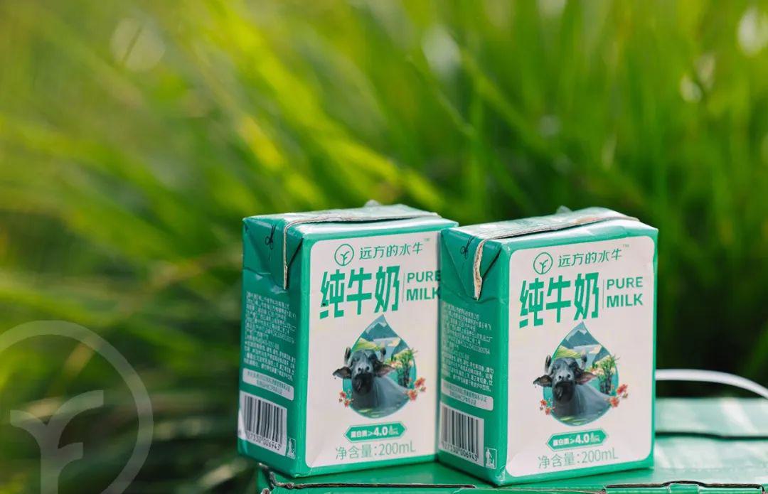 远方的水牛纯牛奶 - 第19张 远方的水牛纯牛奶 - 第19张