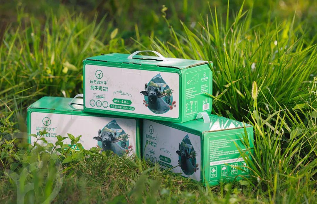 远方的水牛纯牛奶 - 第21张 远方的水牛纯牛奶 - 第21张