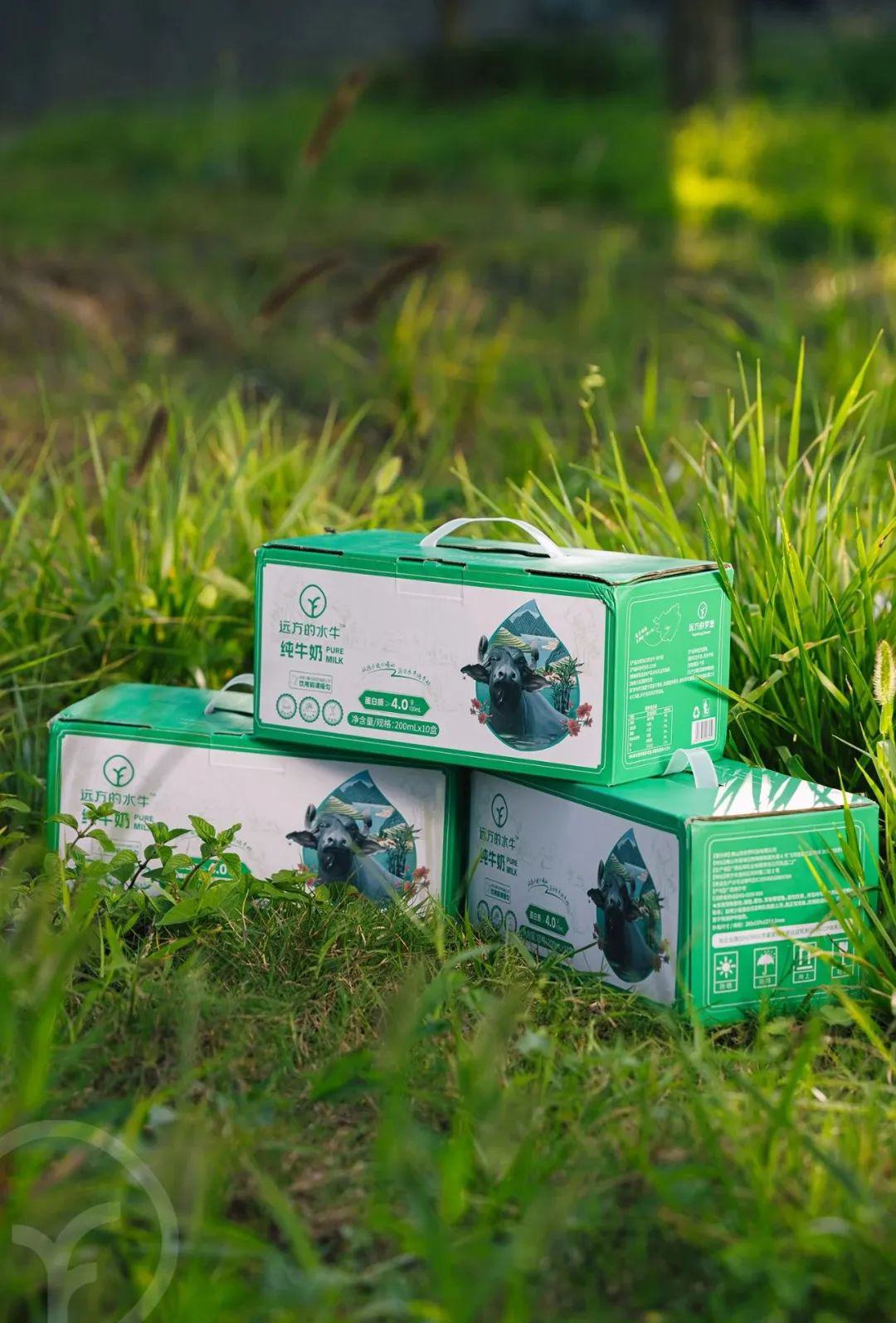 远方的水牛纯牛奶 - 第24张 远方的水牛纯牛奶 - 第24张