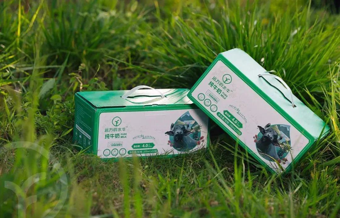 远方的水牛纯牛奶 - 第30张 远方的水牛纯牛奶 - 第30张