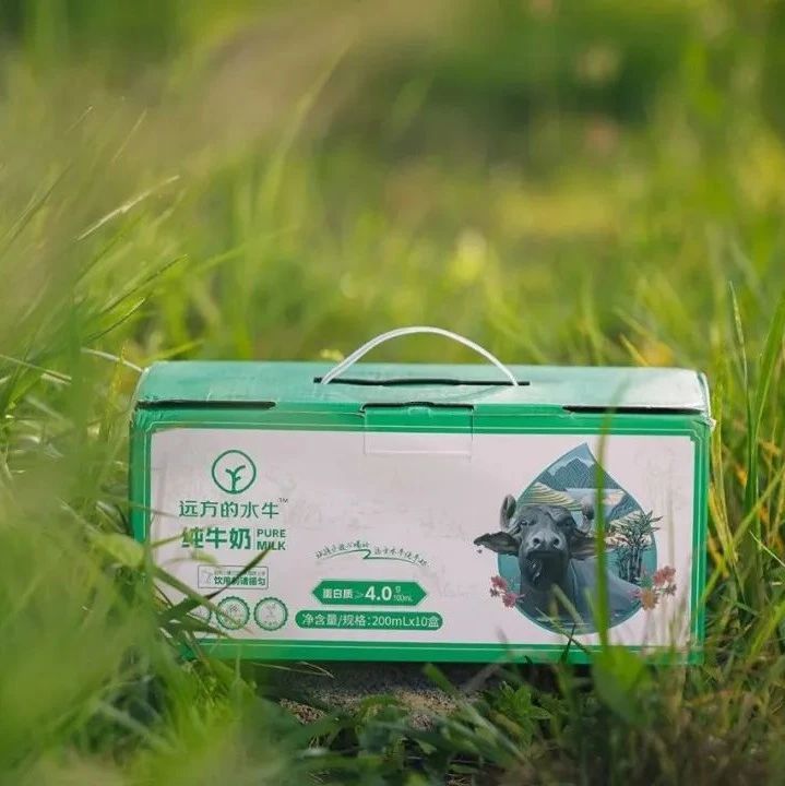 远方的水牛纯牛奶 - 第1张 远方的水牛纯牛奶 - 第1张