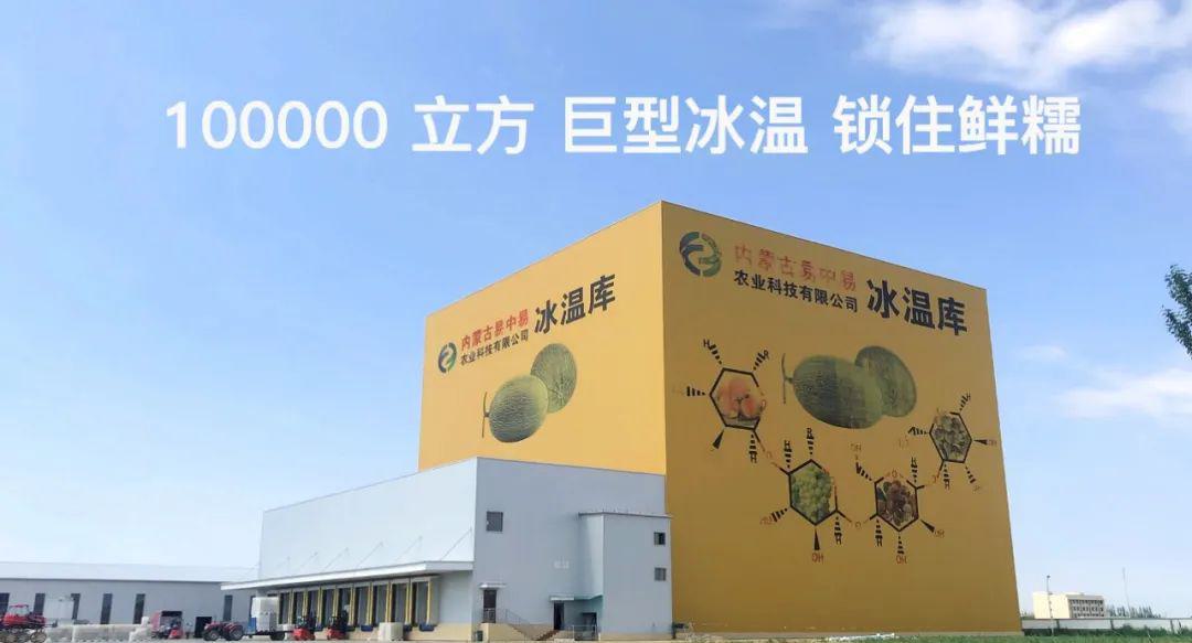 黑糯玉米 - 第8张 黑糯玉米 - 第8张