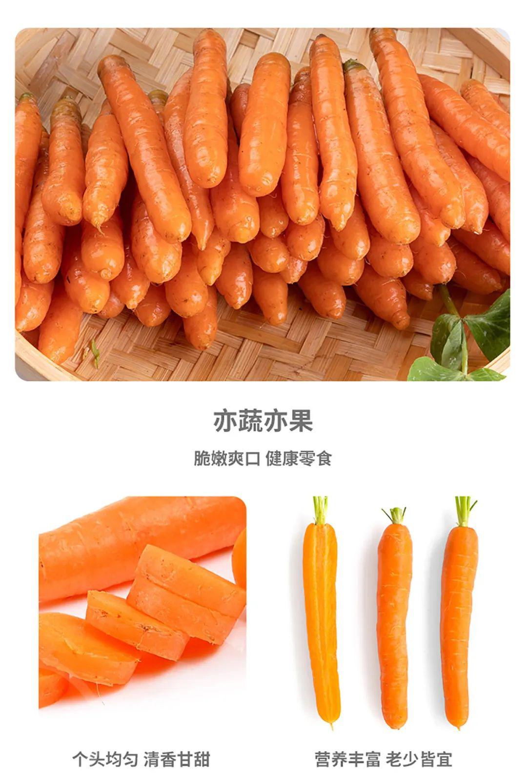 有机吮指胡萝卜 - 第11张 有机吮指胡萝卜 - 第11张
